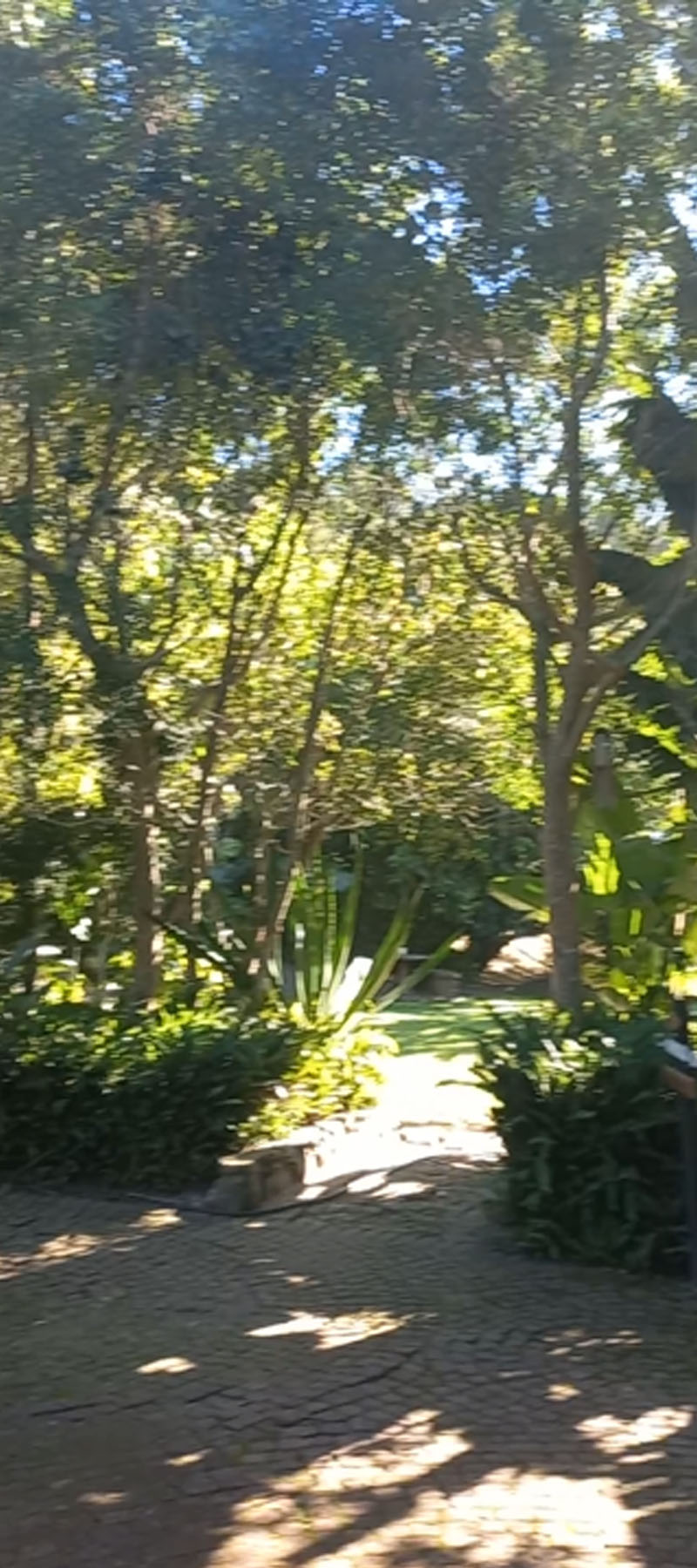 10 Bedroom Property for Sale in Hoekwil Western Cape